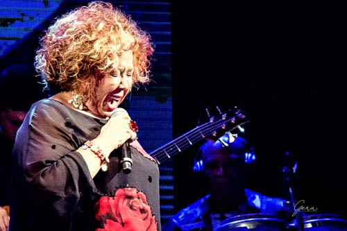 Gera Fotografia-Espetáculos-Alcione