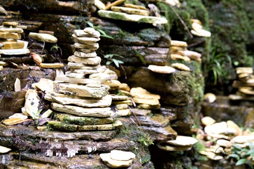 Gera Fotografia-Andando por aí-Pirâmide Espiritual